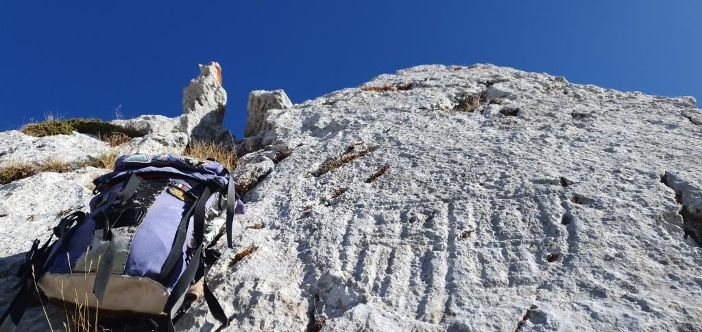 C Il III Stemma Aragonese, quello trovato il 26102019