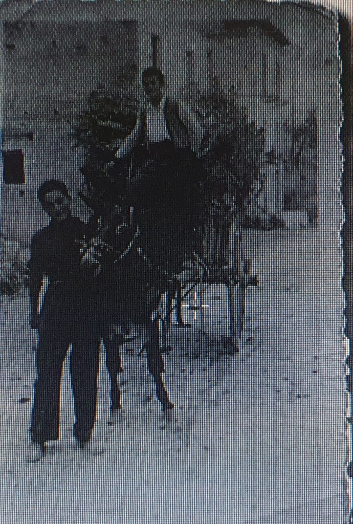 L'asino e il carretto