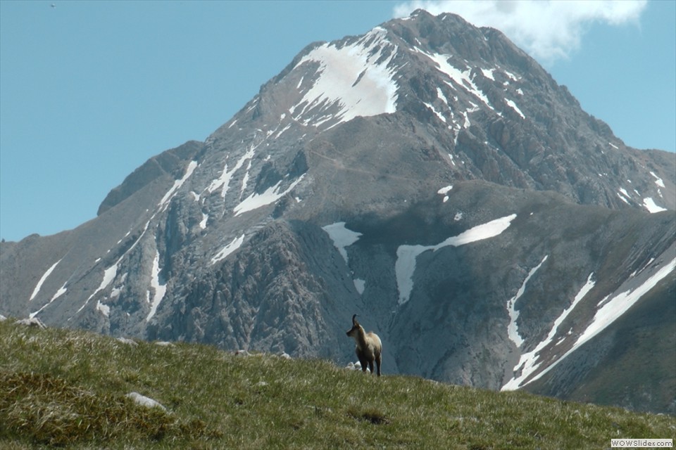 La Ovesto del Corno Grande