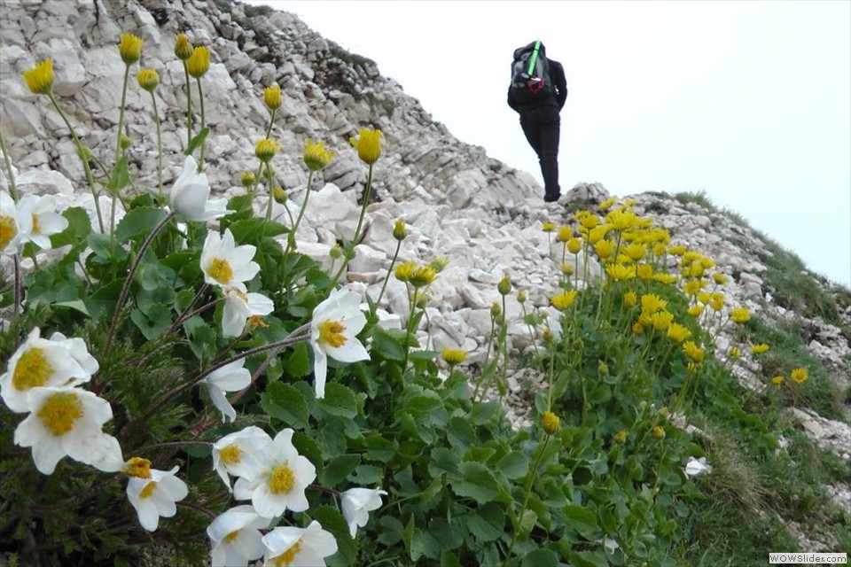 La Sella di Monte Aquila