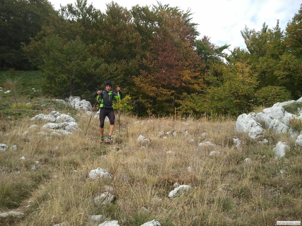 Il bosco comincia a colorarsi