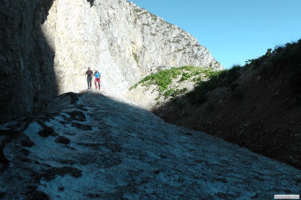 Eccoli sul nevaio