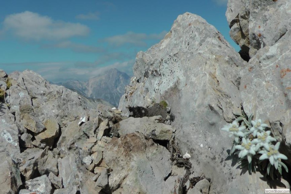 ZA Il lontano Corno Monte