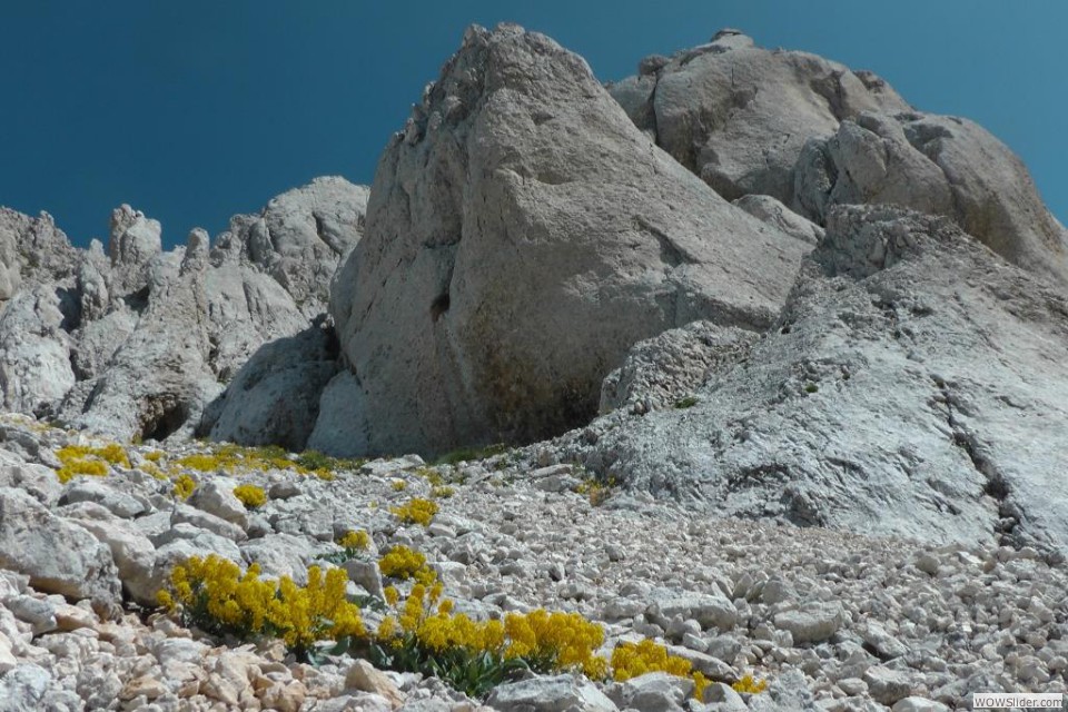 ZC La SUD del Camicia