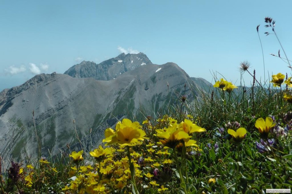 H Verso il Corno Grande con Pizzo d'Intermesoli