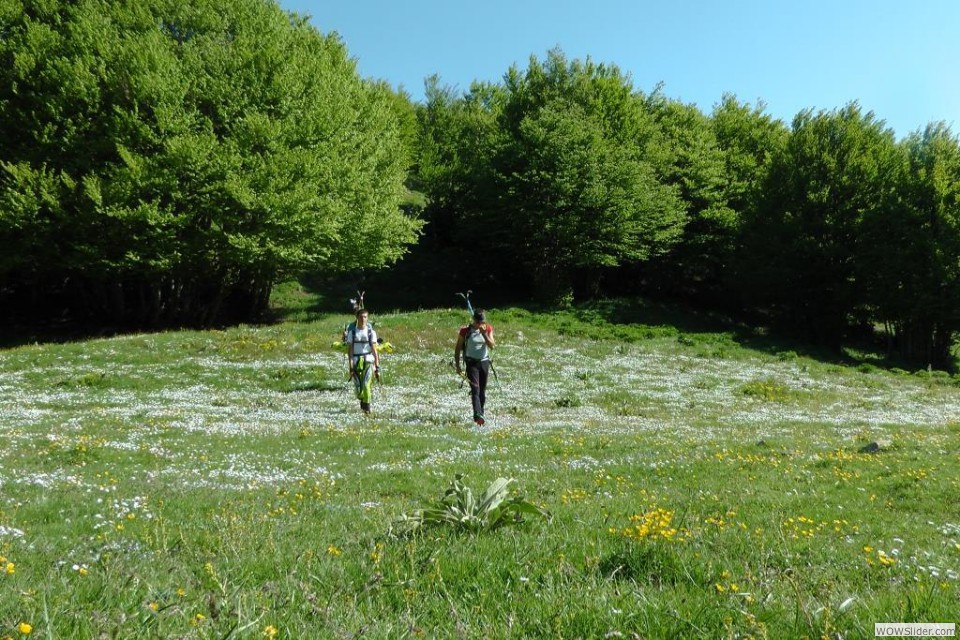 F I giardini di Colle Abetone