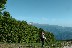 c Marco a Prato Selva