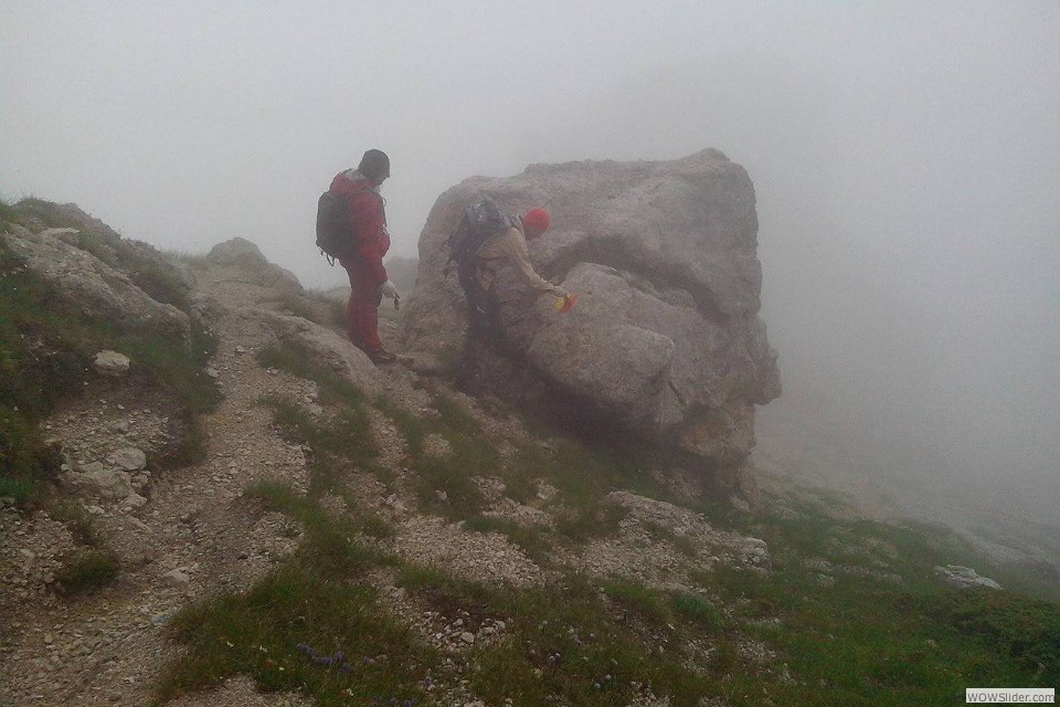 paolo con la sua tavolozza sulla tela