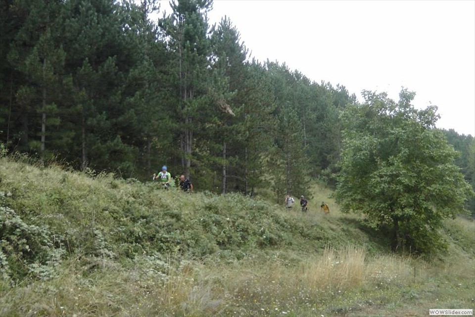 B L'uscita dal bosco