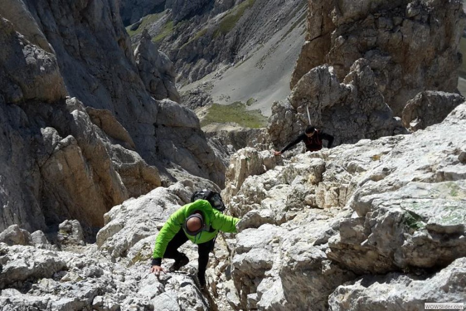 f La schiena d'asino