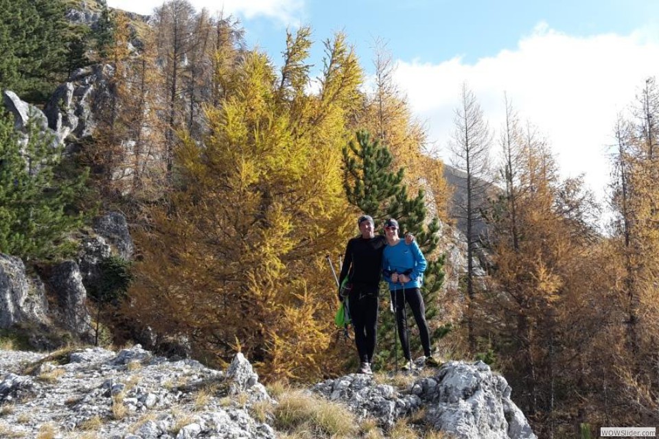L I larici