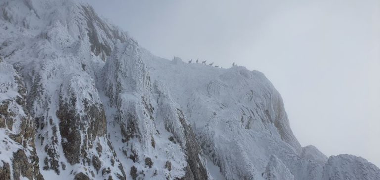 “Lu mont de li camiccie”
